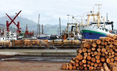 Lyttleton, New Zealand, November 21, 2019: Pinus radiata logs awaiting export line the wharf at Lyttleton harbour.