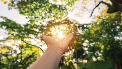 Young man's hand reaching for the sunrise above the trees in the morning