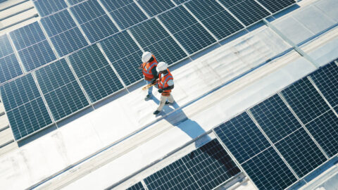 Renewable energy, solar panels and team walking on roof planning for inspection at sustainable business. Engineering, sustainability and photovoltaic power on rooftop, men in electricity maintenance.