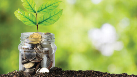 Savings money jar full of coins on soil /Plant Growing In Savings Coins/ investment and etirement or education Concept