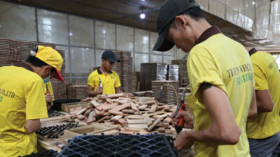 6-Don-song-phuc-hoi-1