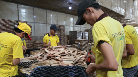 6-Don-song-phuc-hoi-1