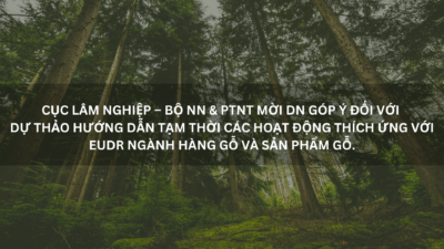 Noi-dung-doan-van-ban-cua-ban-1