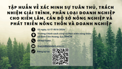 Screenshot-2024-06-13-110250