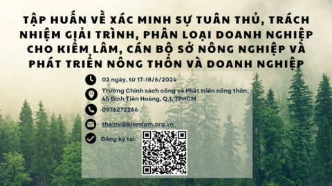 Screenshot-2024-06-13-110250