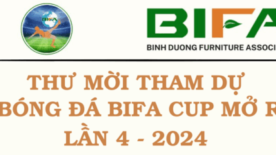 THU-MOI-THAM-DU-GIAI-BONG-DA-BIFA-CUP-MO-RONG-LAN-4-2024