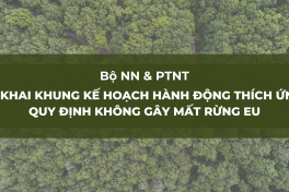 Thêm tiêu đề