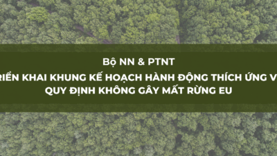 Them-tieu-de