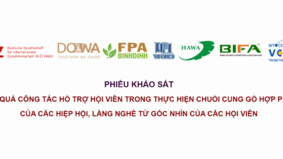 Thiet-ke-chua-co-ten-4-1