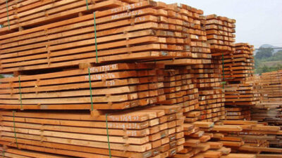 Timber-Sarawak_Malaysia