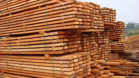 Timber-Sarawak_Malaysia