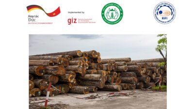 VN-WOODID giải pháp nhận diện gỗ