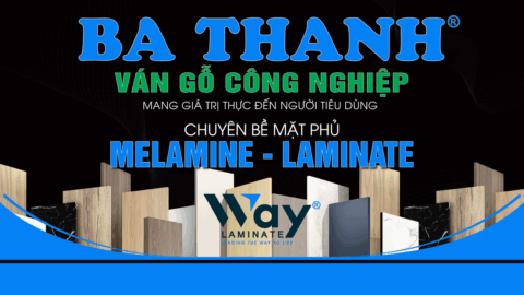 Ba Thanh Group – Khẳng định vị thế bằng giá trị thực