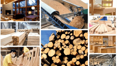 Chiến lược sản phẩm: Phương cách thu hút đơn hàng bền vững