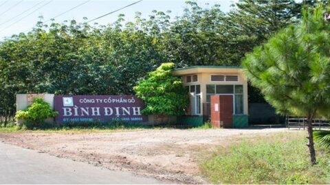 Công ty Gỗ Bình Định: Cải thiện điều kiện làm việc là văn hóa doanh nghiệp