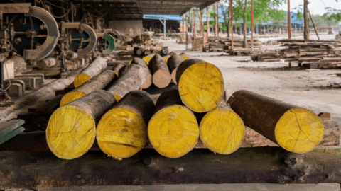 Đăng ký Chứng nhận nhãn hiệu "Gỗ Việt Nam" – Bảo chứng chất lượng, nâng tầm thương hiệu quốc gia