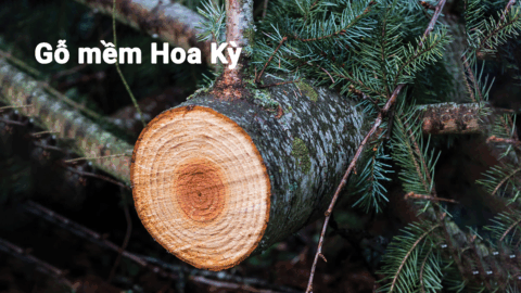 go-mem-hoa-ky-nhung-giai-phap-hay-cho-do-noi-that-va-cong-trinh-viet-nam