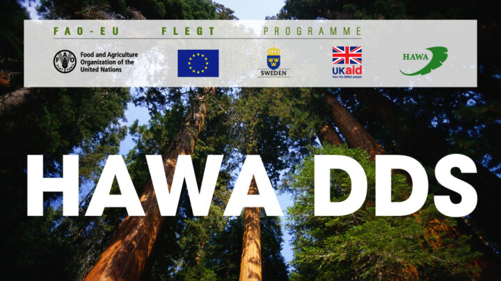 hawadds-cover-web-01-oxQ62