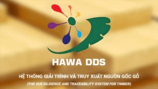 HAWADDS Hệ thống giải trình và truy xuất nguồn gốc gỗ