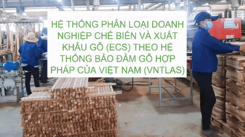 Hệ thống Phân loại Doanh nghiệp Chế biến và Xuất khẩu gỗ (ECS) theo hệ thống bảo đảm gỗ hợp pháp của Việt Nam (VNTLAS)
