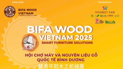 ho-tro-truyen-thonghoi-cho-may-va-nguyen-lieu-go-quoc-te-binh-duong-bifa-wood-viet-nam-2025