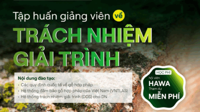 khoa-tap-huan-giang-vien-ve-trach-nhiem-giai-trinh-nguon-goc-go