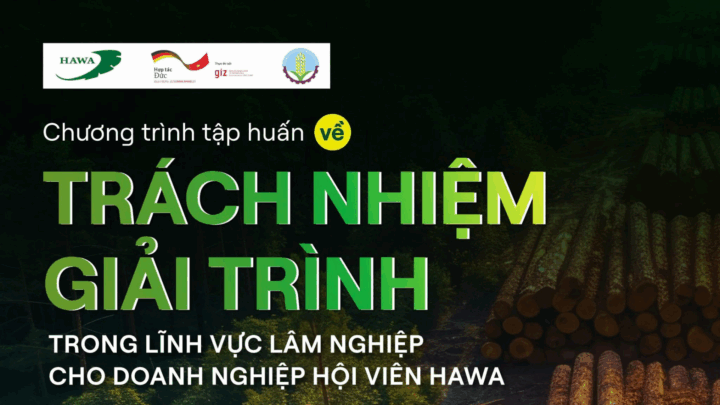 khoa-tap-huan-trach-nhiem-giai-trinh-trong-linh-vuc-lam-nghiep-cho-doanh-nghiep-hoi-vien-hawa