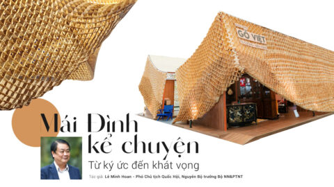 Mái đình kể chuyện - Từ kí ức đến khát vọng