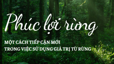 phuc-loi-rung