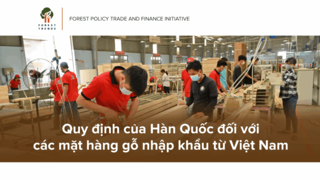 quy-dinh-cua-han-quoc-voi-cac-mat-hang-go-viet-nam