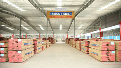 TAVICO GROUP – Cầu nối gỗ Việt Nam ra thế giới