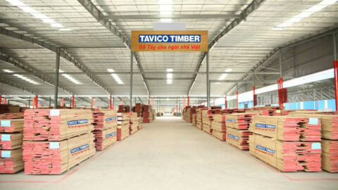 TAVICO GROUP – Cầu nối gỗ Việt Nam ra thế giới