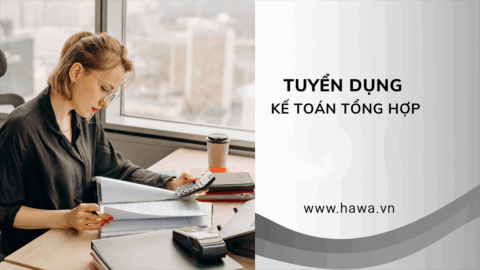 Tuyển dụng Nhân viên Kế toán tổng hợp