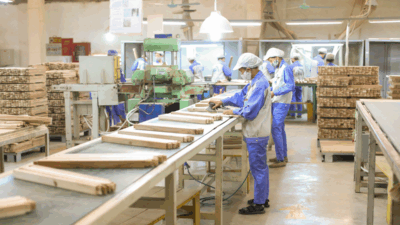 Woodsland – Kiên cường vươn tầm toàn cầu với giá trị bền vững