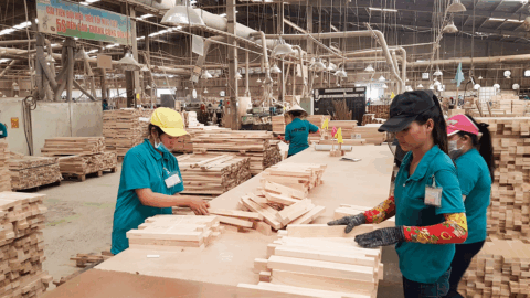 Xã hội hóa hoạt động đào tạo nhân lực cho doanh nghiệp ngành Chế Biến Gỗ